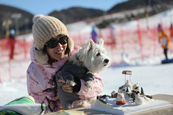 带着狗狗去平谷滑雪！首家宠物滑雪公园开园